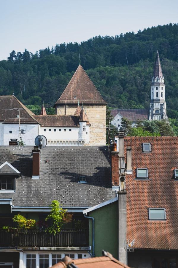 Le Duplex Vaugelas Atypique En Plein Centre Ville Annecy Exterior foto